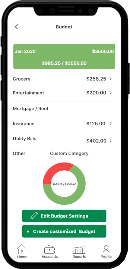 Budget details